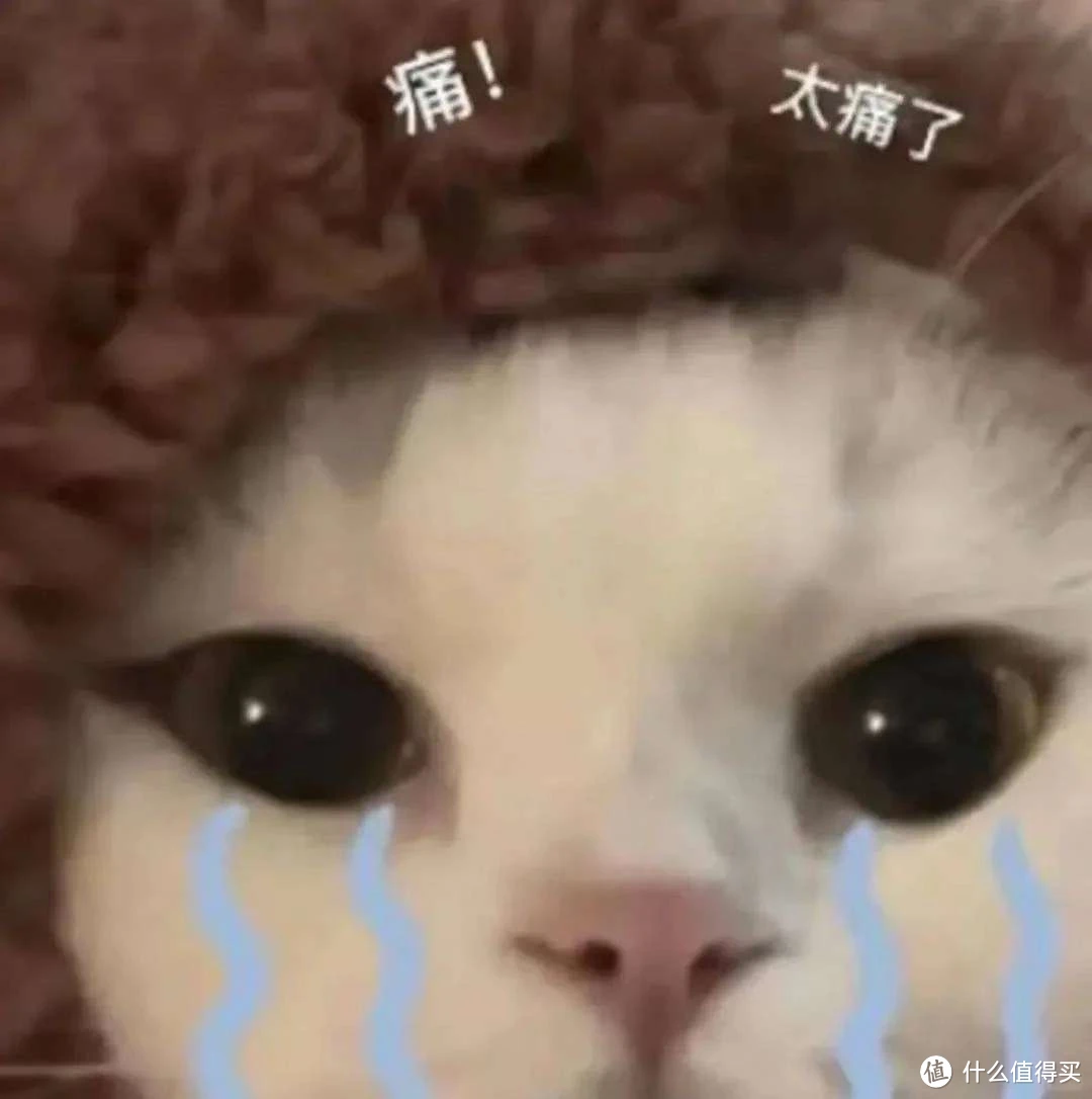 【高性价比选购指南！】养猫新手智能猫砂盆推荐！8款爆款产品该怎么选？怎样保证不是智商税？