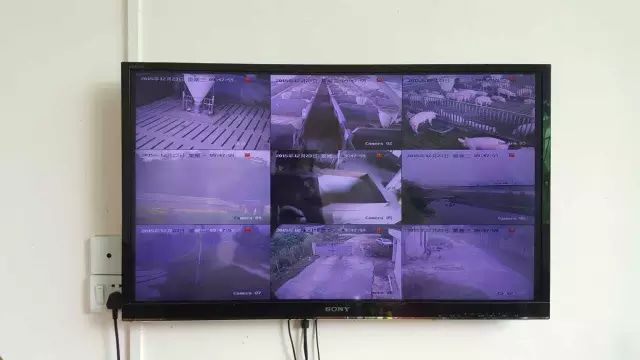 华为手机的品牌定位_品牌信誉：华为手机的成功之道_华为手机为什么会成功