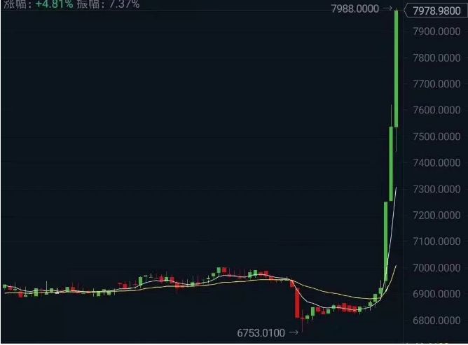 分析：散户与专业投资者的USDT钱包选择_分析：散户与专业投资者的USDT钱包选择_分析：散户与专业投资者的USDT钱包选择