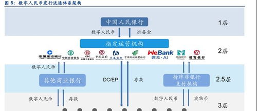 阿莫分享数字货币相关知识，含意思、作用及对经济的影响等