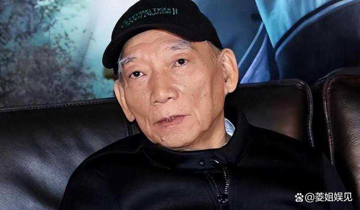 甄子丹的武打电影有哪些_甄子丹的经典武打片_甄子丹的经典武打角色分析