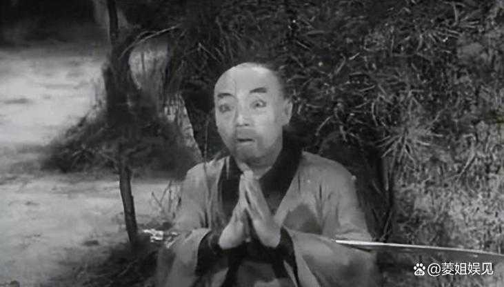 甄子丹的经典武打片_甄子丹的经典武打角色分析_甄子丹的武打电影有哪些