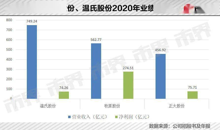 养猪大王秦英林挣了多少钱_九鹿鹿业养殖加盟条件_秦英林如何改写中国养殖业的未来