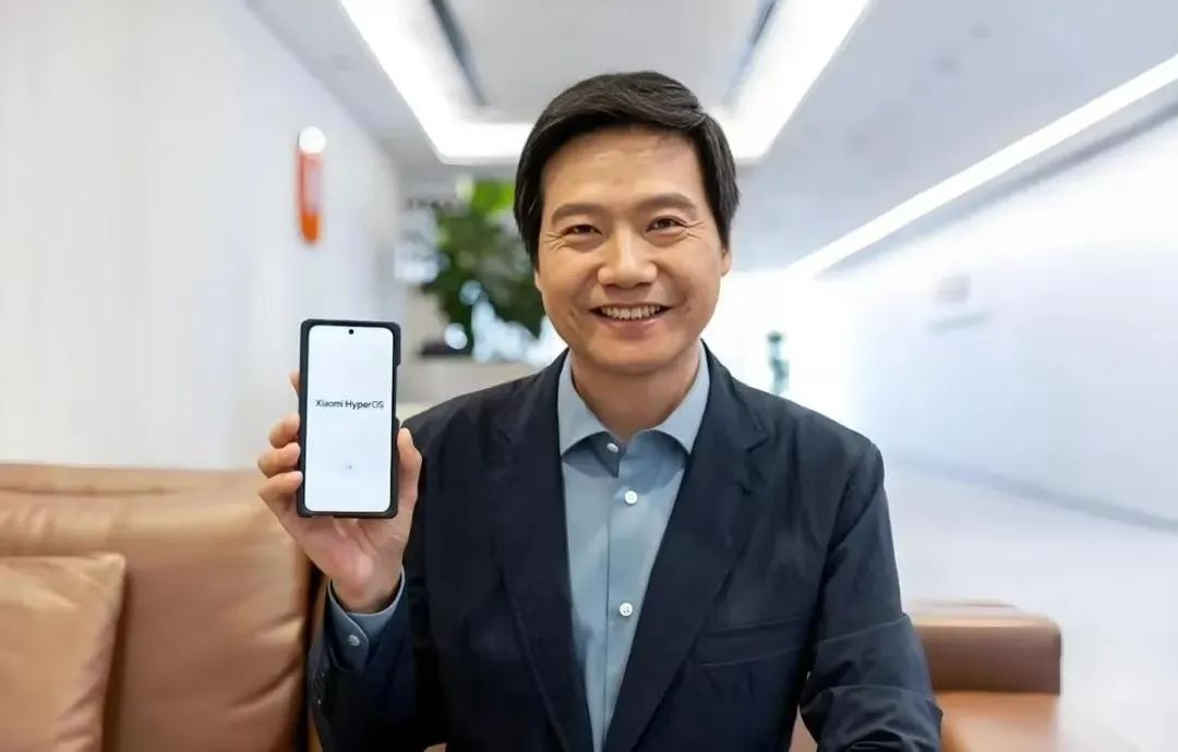 雷军的商业模式与可持续发展_雷军是如何把握商机的_雷军商业版图