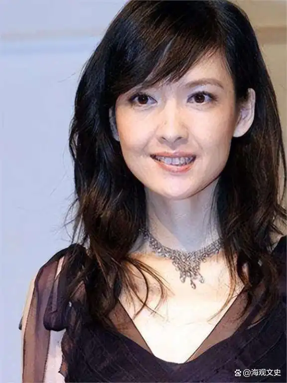 对周慧敏的评价_周慧敏的经典角色与文化影响_周慧敏最经典的角色是