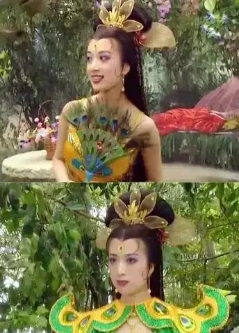 为公益事业贡献_金巧巧的公益事业与社会贡献_社会公益事业帮助