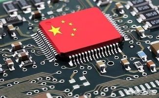 中国社交网用户分析_中国政策对小狐狸钱包用户的影响分析_狐狸钱包有中文版吗