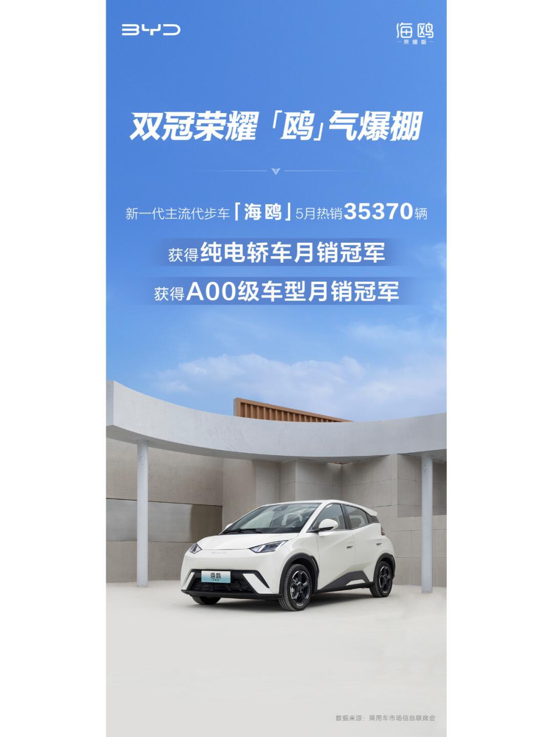比亚迪海鸥用车小常识！