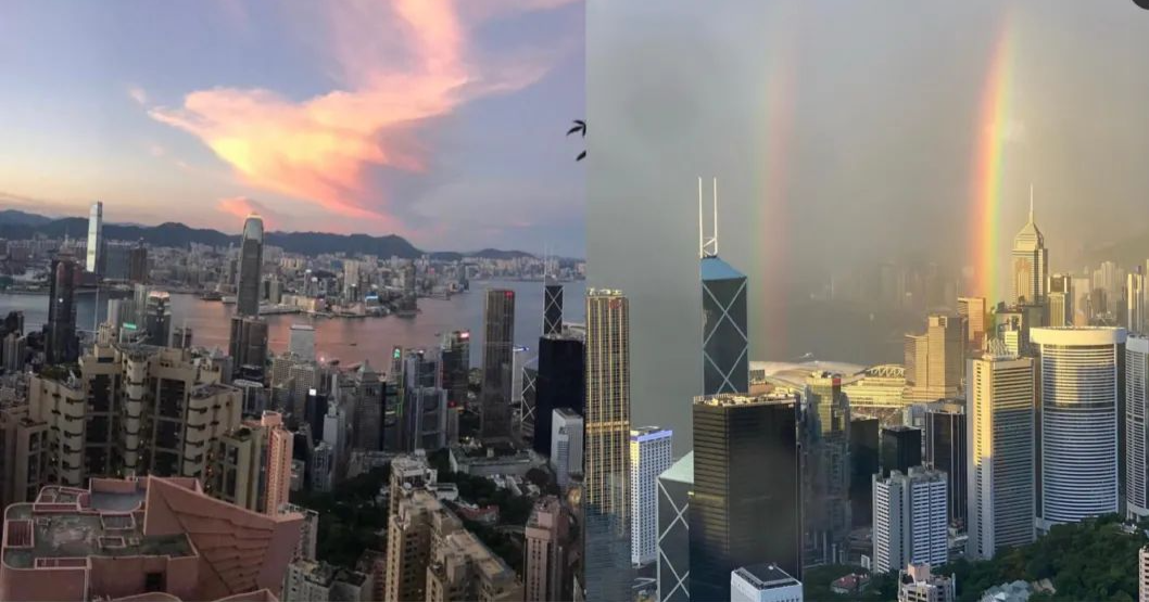 关之琳的故事_关之琳导演经典合作故事有哪些_关之琳与导演的经典合作故事