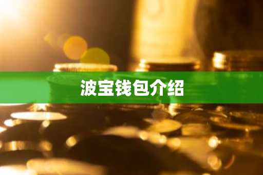 波宝钱包：您的虚拟货币贴心助手，安全便捷管理多种数字资产