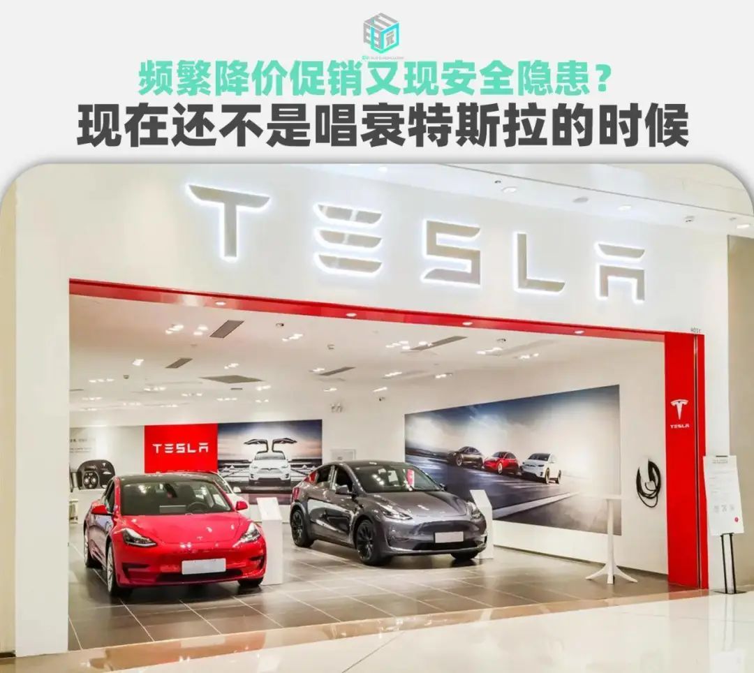 特斯拉双重标准_安全性与驾驶体验：特斯拉车型的双重优势_特斯拉两种车型