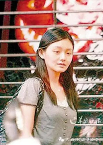 杨幂的国际视野与影视发展_杨幂中国视协_杨幂视觉中国