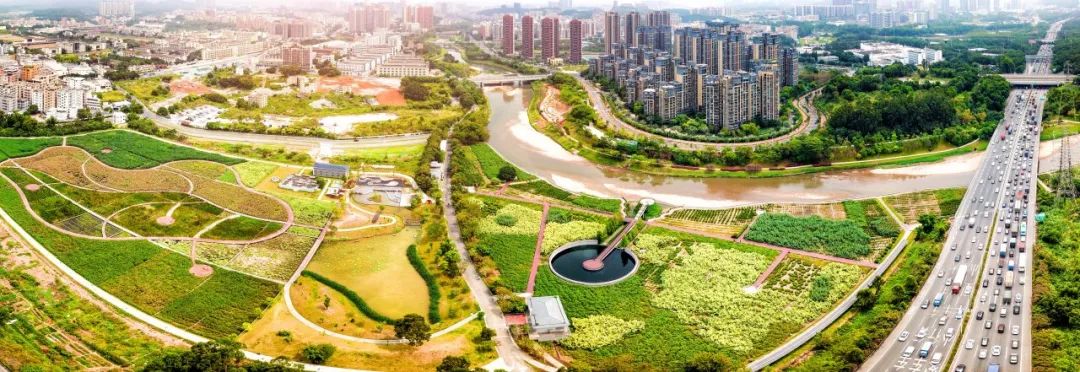 王卫如何构建高效团队_构建高效团队的要素_如何构建高效能团队