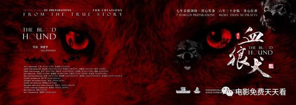 洪金宝与国际电影的交流_洪金宝导演_电影洪金宝主演