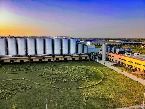 USDT的全球市场影响力与应用探索_USDT的全球市场影响力与应用探索_USDT的全球市场影响力与应用探索