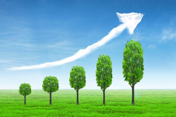 经济诈骗罪报案指南：如何保护自己的合法权益？ 图2
