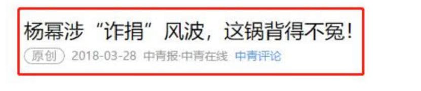 公益社会服务项目书_杨幂的社会责任与公益活动_公司爱心公益捐助社会