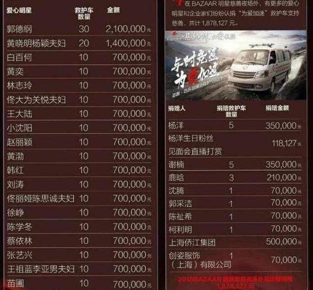 公益社会服务项目书_公司爱心公益捐助社会_杨幂的社会责任与公益活动