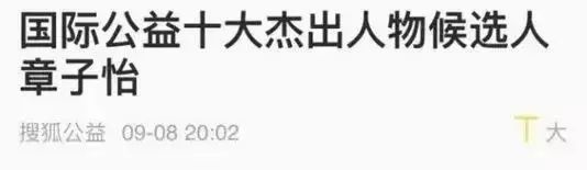 公益社会服务项目书_杨幂的社会责任与公益活动_公司爱心公益捐助社会